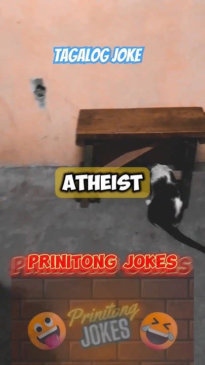 Atheist na naligaw sa gubat .